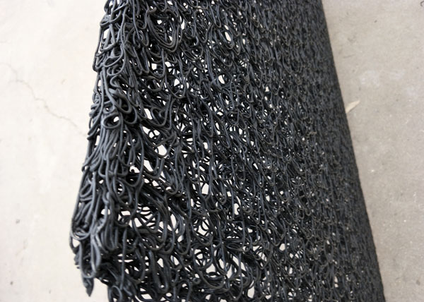 2.5���֝BˮƬ��