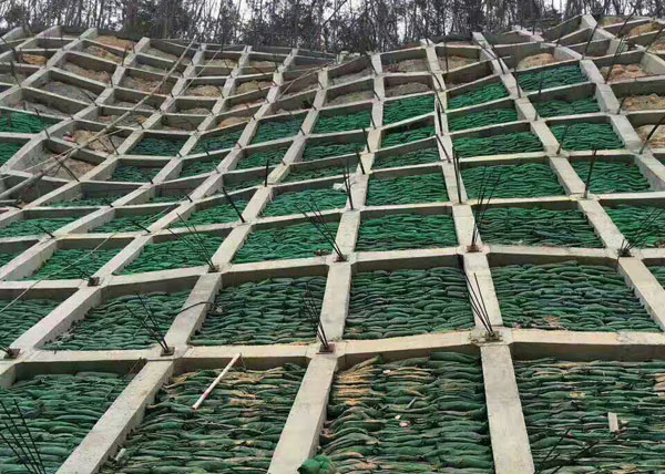 ���B(t��i)��